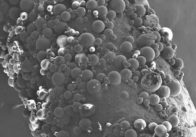 polymer tube nerve regeneration